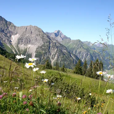 5 für 4 - Sommerangebot Sommer in Hirschegg